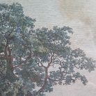 04caf5d11ff646ccf449ee7e82dda3ef.jpg