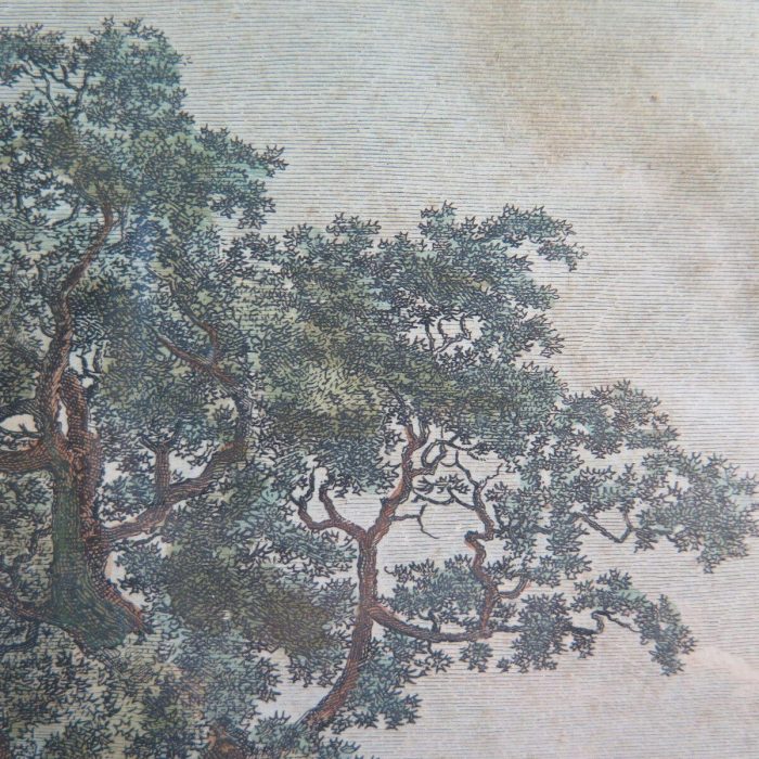 04caf5d11ff646ccf449ee7e82dda3ef.jpg