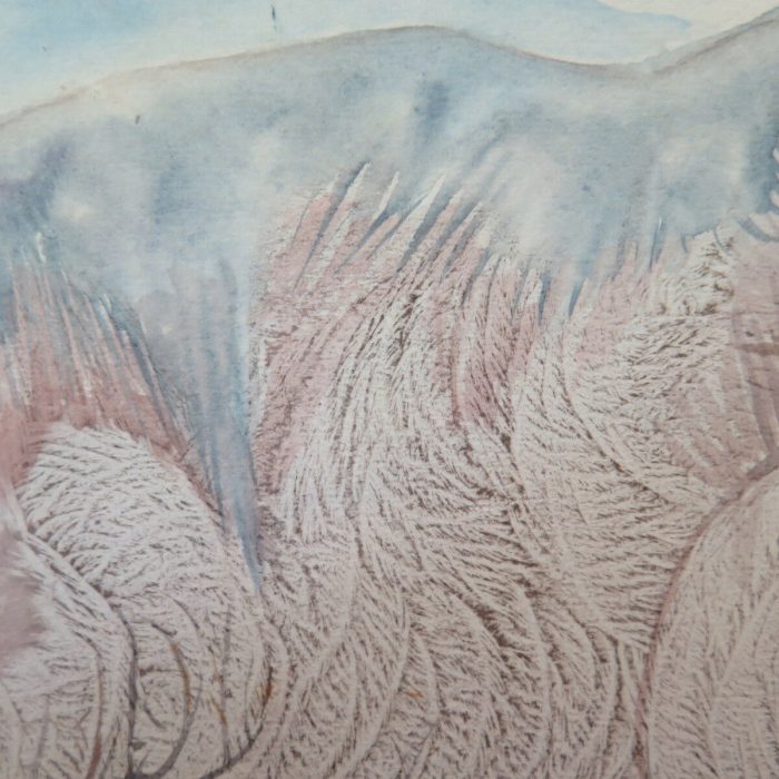 073cc555c54c3362f9fd0121d37ef3cb.jpg