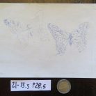 082c276daf719a245db9e8d25f847982.jpg