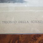 2c32aa95b3a536a34d2b34bb670e61ea.jpg