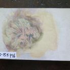 8d259ccfad22ff8ff547711e70e94eb2.jpg