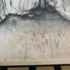 edf84381342f1153d082b7174271e3b0.jpg