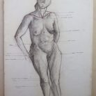 0a087ed3dbc4f5d96ae4f4a9e8011c59.jpg