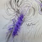 333d2796870a13e5d01f37e7cefb47d1.jpg