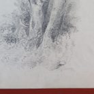 7788ba3944b9344978204a7e6817aa38.jpg