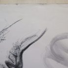 862f085fdee5436a79e95e74104bc9e3.jpg