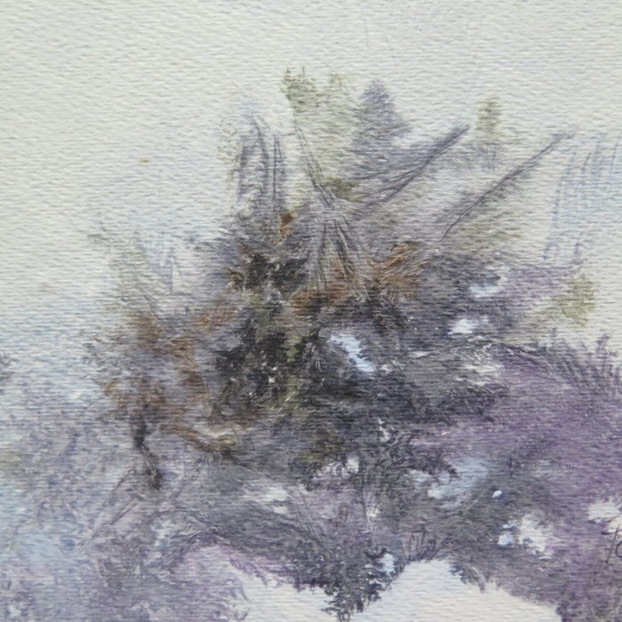 9a2779808bcea479c64194cceef6430d.jpg