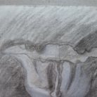 a0a96c2ab69cc0ca1670d44f21f12738.jpg