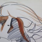 a9b5add60093dd38d07b5c1ca0e71ab7.jpg