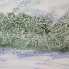 d333c7a67048de9dd0dd8f32bcfd9ffd.jpg