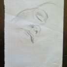 f95e115dbff6cdde872ee0cbd0815573.jpg